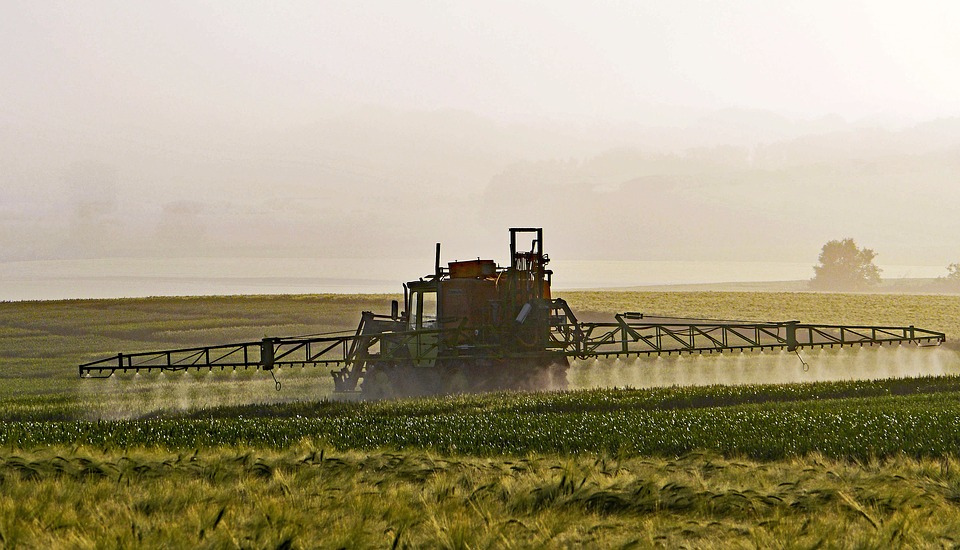 agriculturapulverização - Vegetais Que Combatem a Gordura Abdominal!