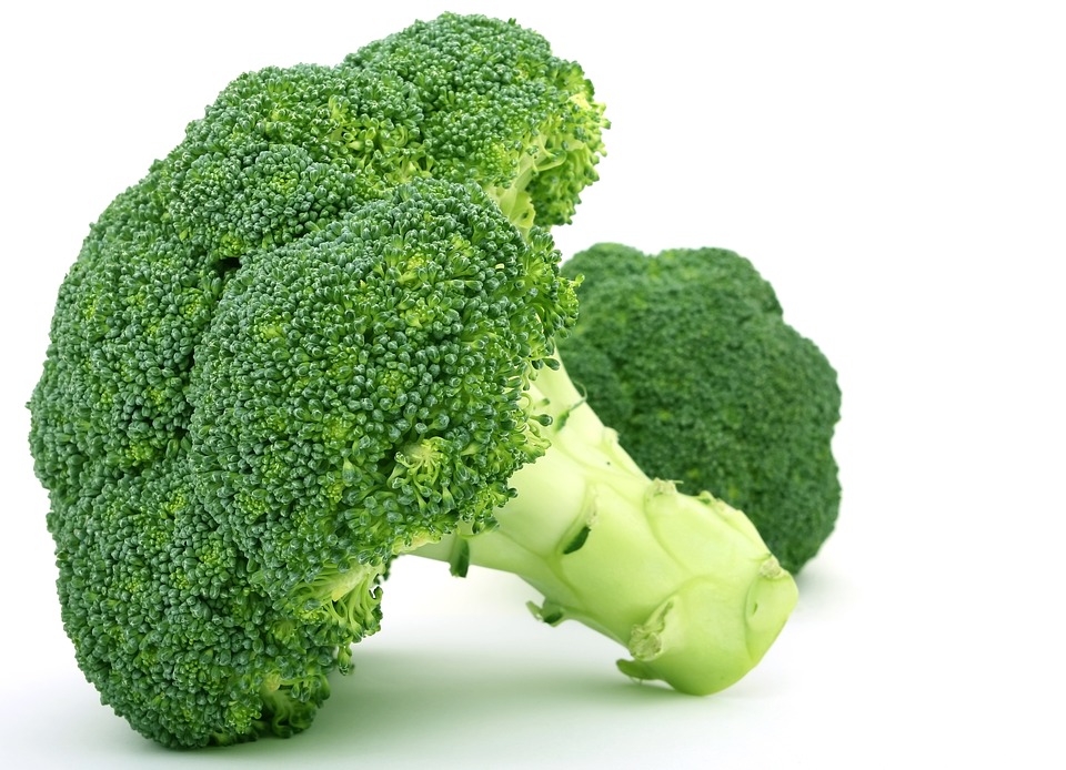 brocolis para emagrecer - Vegetais Que Combatem a Gordura Abdominal!